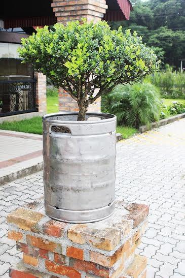 Barris de chope são reaproveitados e viram vasos de flores