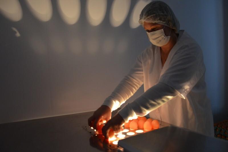 Selo Sisbi: CIM-Amrec recebe a equivalência nesta quinta-feira