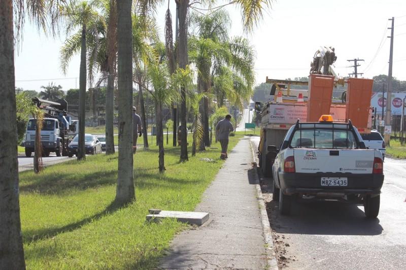 Prefeitura repõe fios furtados de rodovia