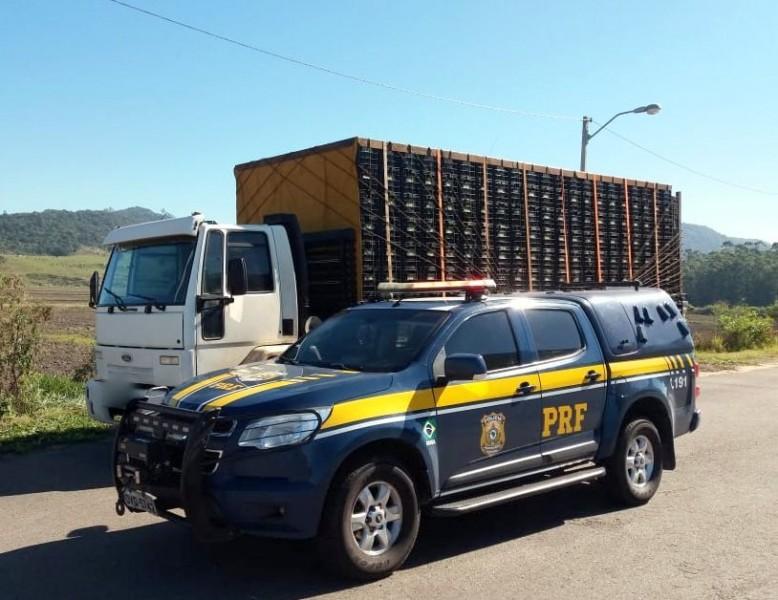 PRF apreende 300 mil maços de cigarros contrabandeados