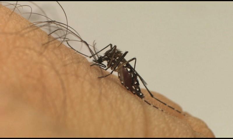 Ações de combate a dengue em todo o município de Urussanga