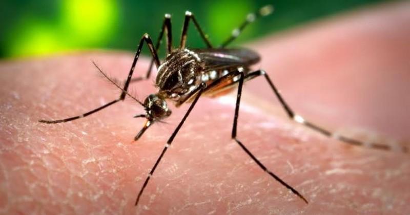 Secretaria de Saúde realizará debate sobre o Zika Vírus