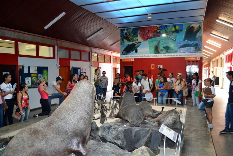 Museu de Zoologia da Unesc comemora 13 anos e lança website