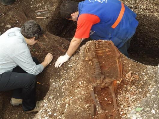 Arqueólogos localizam 13 ossadas pré-históricas em Laguna