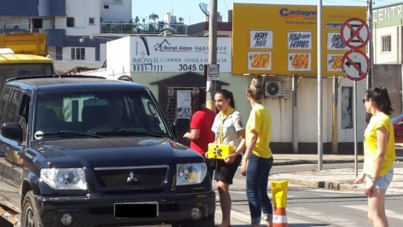 ONG Amigo Bicho precisa de voluntários para o pedágio neste sábado