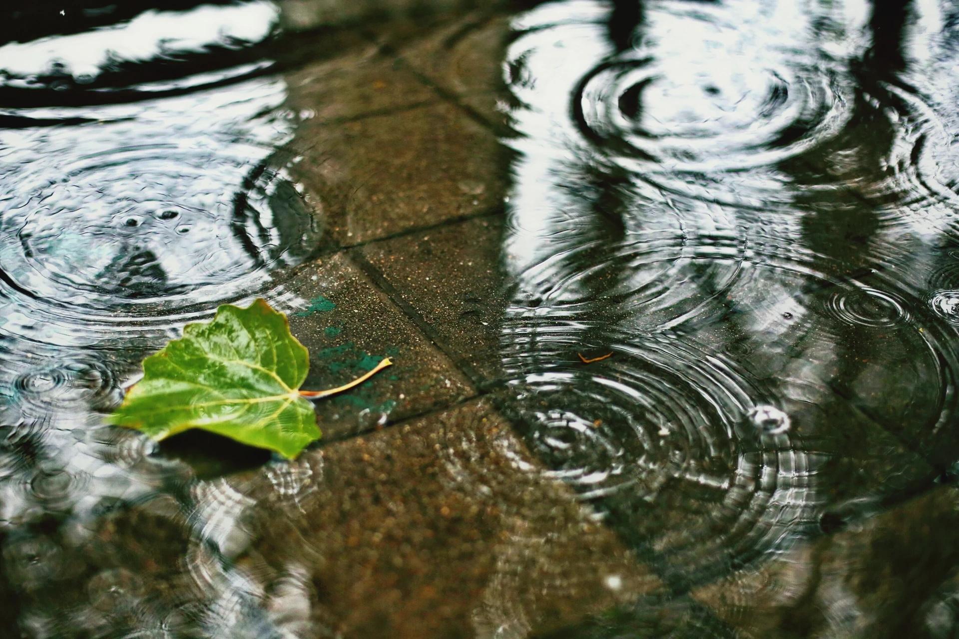 Criciúma: chuva deve registrar volume de cinco dias em 24 horas; veja previsão