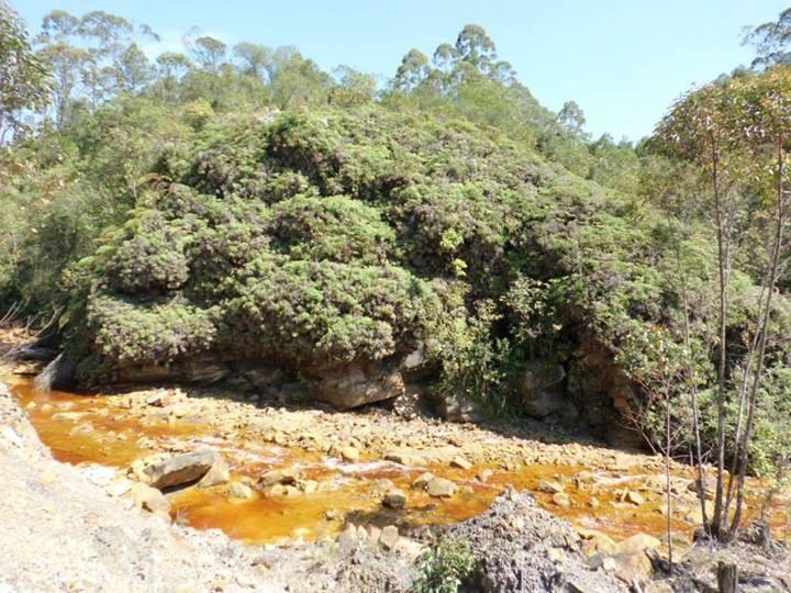 Unidos pela Bacia do rio Urussanga