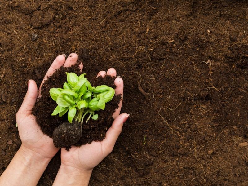  Desenvolvimento Sustentável em pauta nesta quinta-feira  