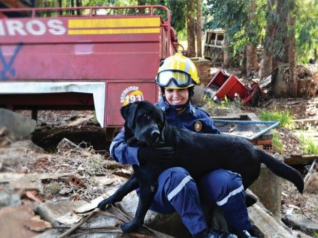 Conheça a rotina dos cães do Corpo de Bombeiros de Santa Catarina