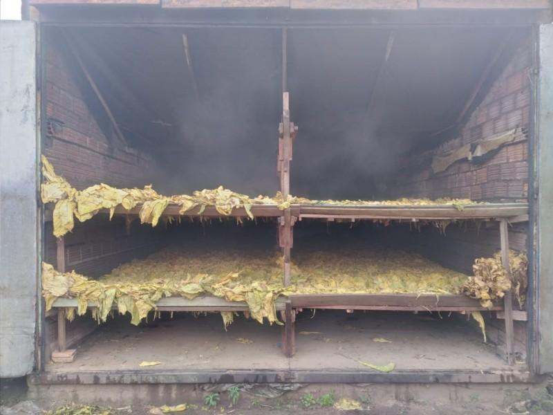 Estufa de fumo pega fogo em Araranguá