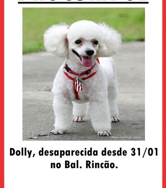 Procura-se Dolly no Balneário Rincão