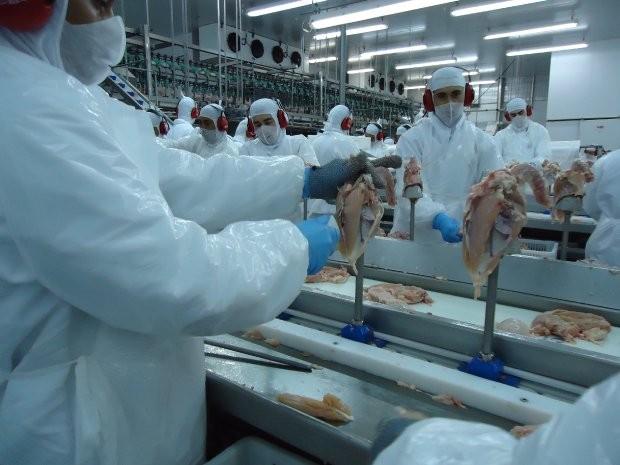 Agronegócio responde por 67% das exportações catarinenses em 2019