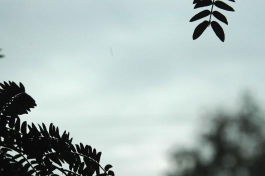 Tempo nublado predomina no fim de semana 