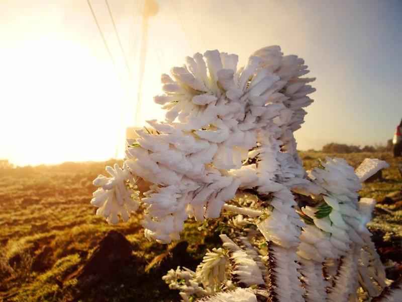 Geada e sincelo deixam paisagem esbranquiçada nesta manhã