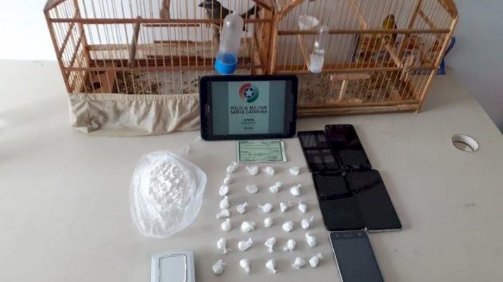 Animais silvestres e cocaína são apreendidos em Araranguá