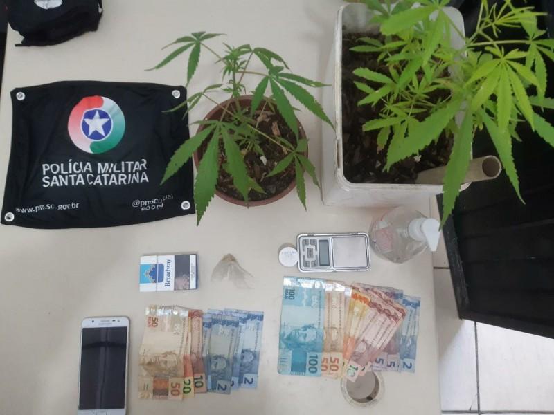 Polícia Militar apreende dois pés de maconha e flagra tráfico de drogas no Renascer