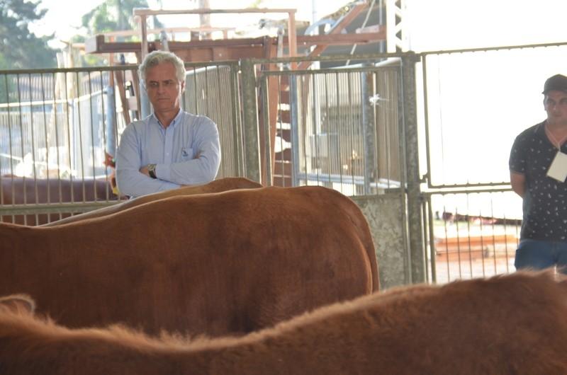 AgroPonte 2018: Julgamento inédito de raças destaca o terceiro dia