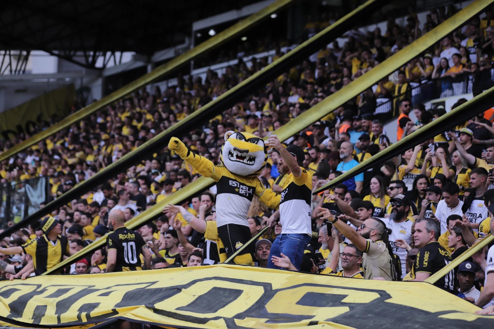 Acesso garantirá o Tigre na Copa do Brasil de 2026