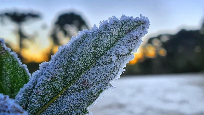 O frio em imagens, Serra catarinense registra -4°C nesta quinta-feira 