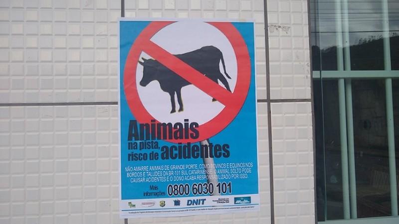 DNIT/SC intensifica ações contra dengue e animais próximos do tráfego, na BR-101