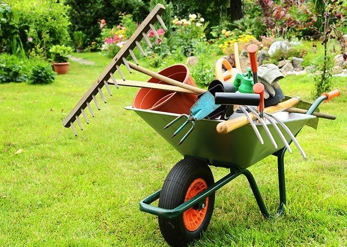 Inscrições abertas para curso de jardinagem e paisagismo em Içara
