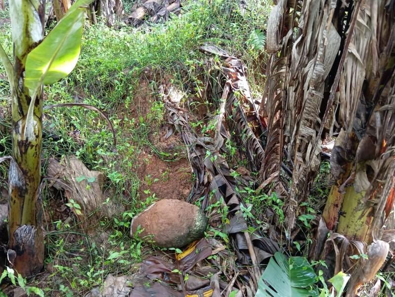 Santa Rosa do Sul: deslizamento de terra causa danos em estrada e plantação de banana 