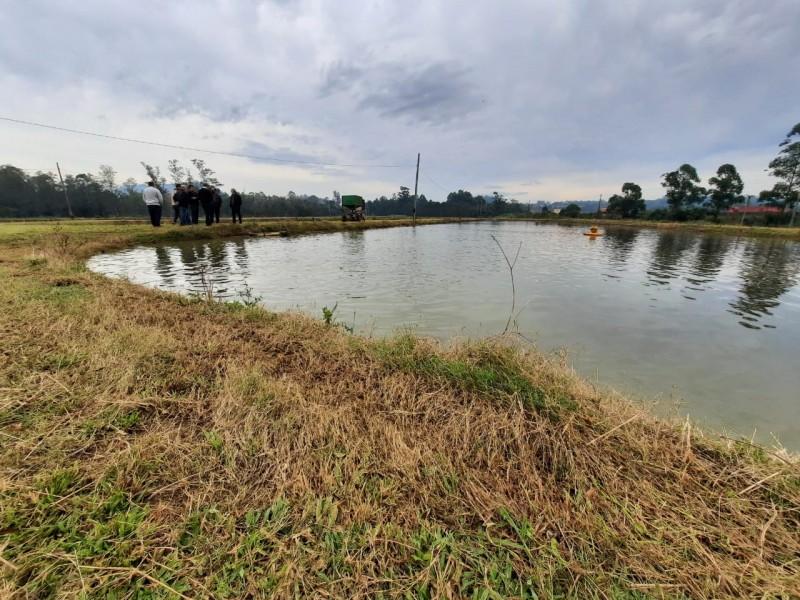 Agropecuária Familiar de Criciúma é destaque na produção de grãos, banana e tilápia