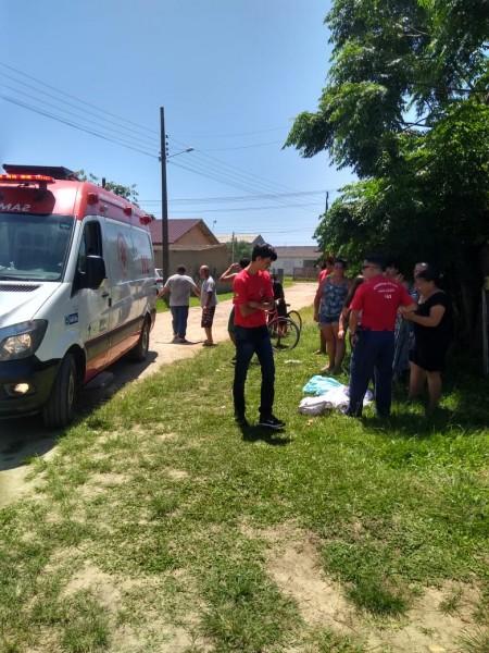 Ataque de abelhas deixa feridos; dois cachorros morreram
