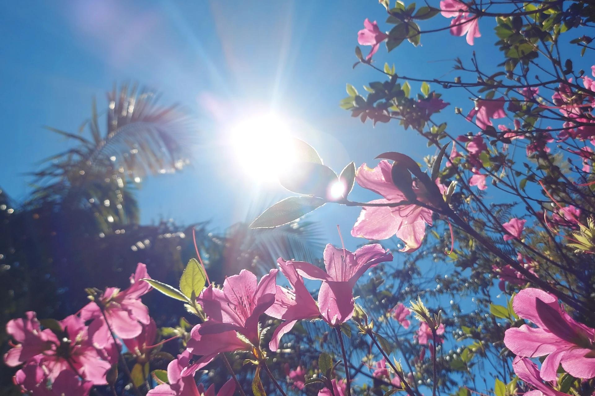 Quarta-feira terá sol e temperaturas amenas na região carbonífera