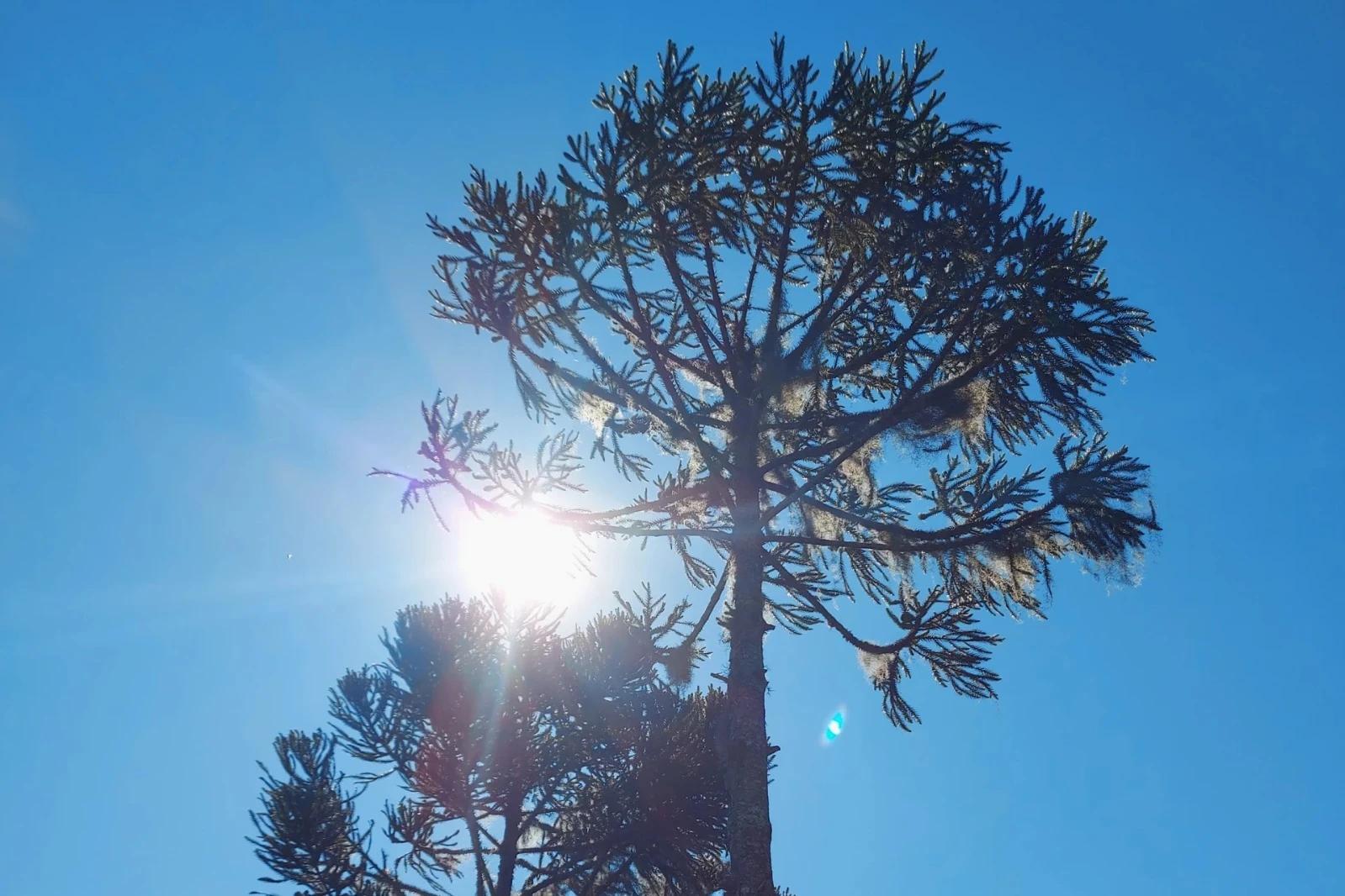 Temperatura pode chegar aos 32ºC neste domingo em Criciúma e região