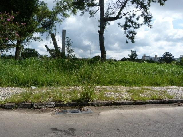 Prefeitura vai exigir limpeza de terrenos baldios