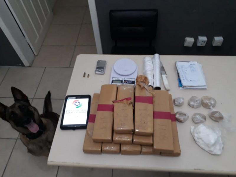 Com ajuda do cão farejador, PM apreende mais de 10 quilos de maconha