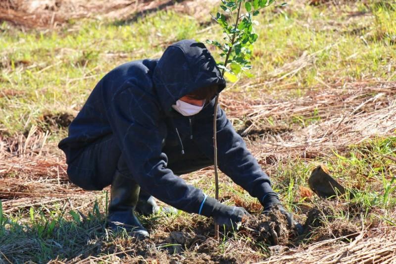 Fundave realiza plantio de mudas no Parque Natural Municipal Xokleng 