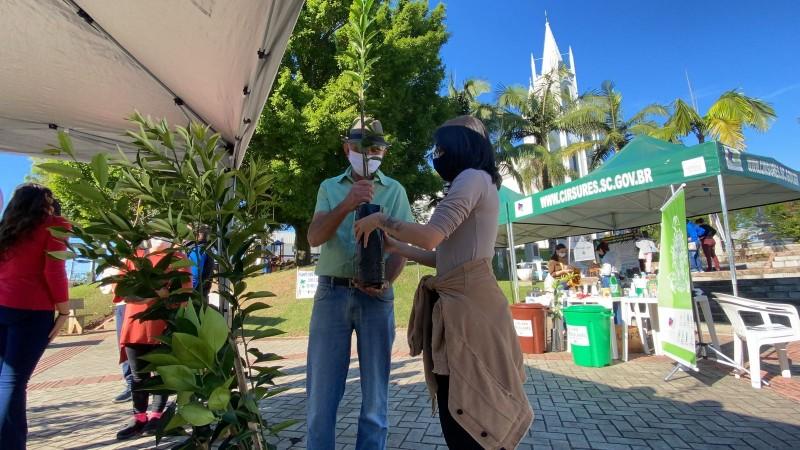 Cocal do Sul promove ações para a Semana do Meio Ambiente