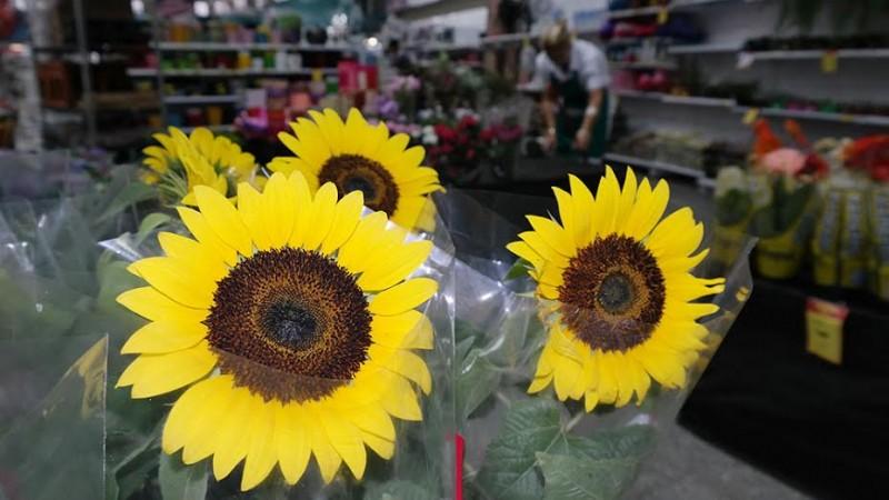Bistek aposta na venda de flores para atrair clientes