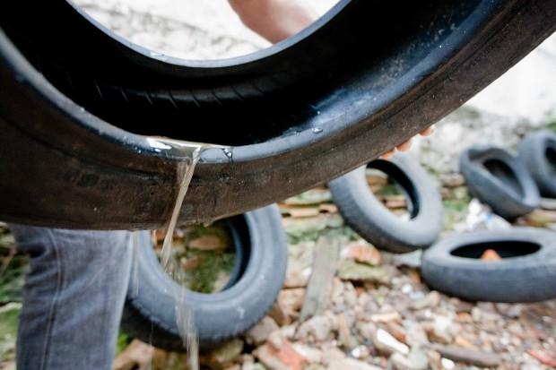 Número de focos do Aedes aegypti neste ano em SC é 43,6% maior do que em 2016