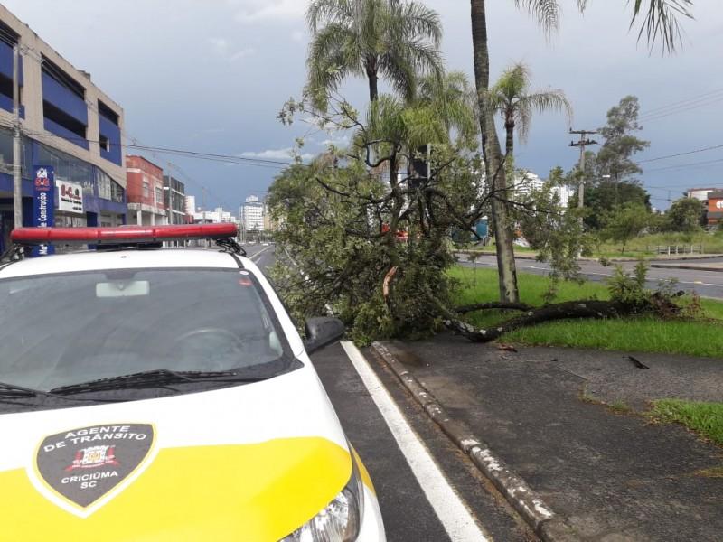 Após temporal em Criciúma, DTT pede atenção aos motoristas no trânsito