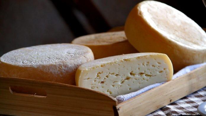 Santa Catarina regulamenta produção de queijo artesanal de leite cru 