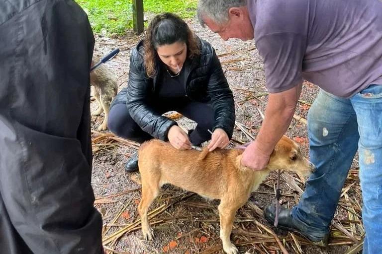 Famsid apoia ação de vacinação de animais em comunidades próximas à Reserva do Aguaí