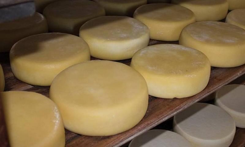 Brasil recebe autorização para exportar produtos lácteos para o Egito 