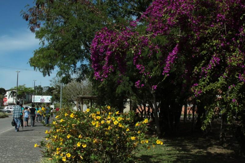 Ingresse na universidade pelo histórico escolar com chance de bolsa