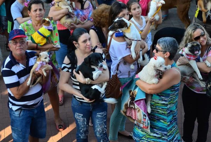 Inscrições para o prêmio Minha Foto é Animal encerram dia 25