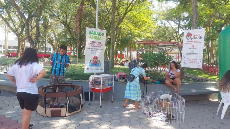 Sábado será de feira de adoção animal no centro de Içara