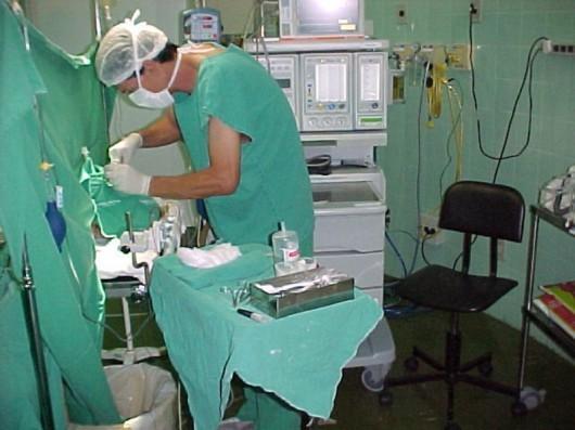 Hospital São José trabalha na conscientização da doação e órgãos e tecidos