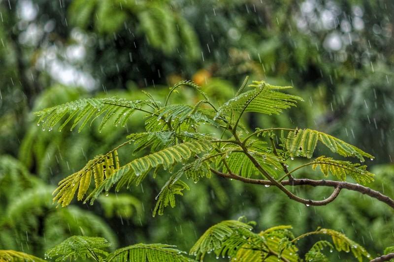 Chuva acumula mais de 100 milímetros em algumas regiões do Sul catarinense