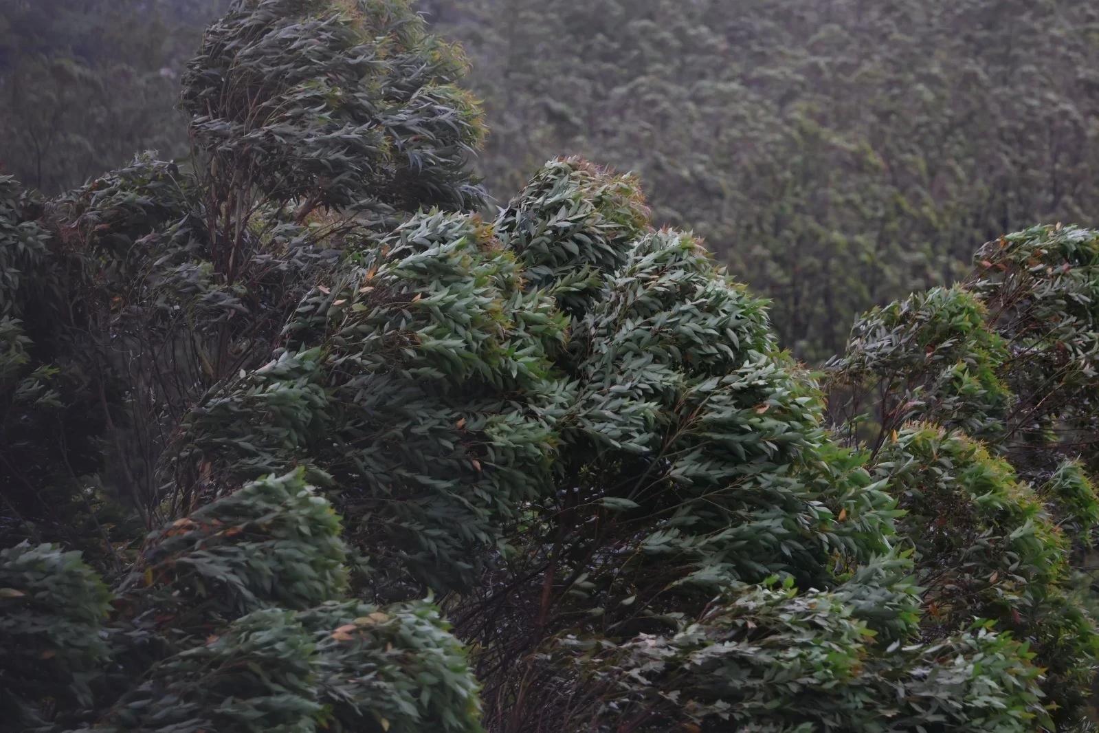 Ciclone extratropical provoca mar agitado e rajadas de até 80 km/h no Sul de SC