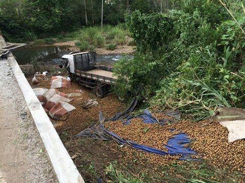Motorista cai de ponte com cerca de quatro metros de altura