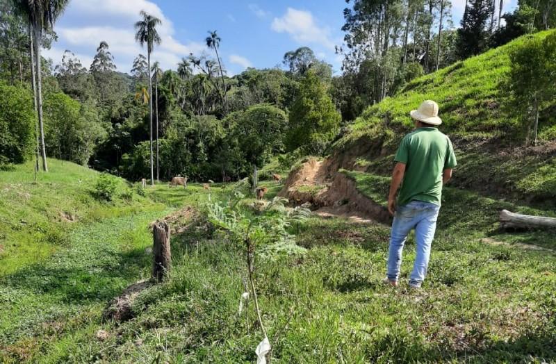 Comitê da Bacia Hidrográfica do Rio Tubarão doa mudas para recomposição de córrego