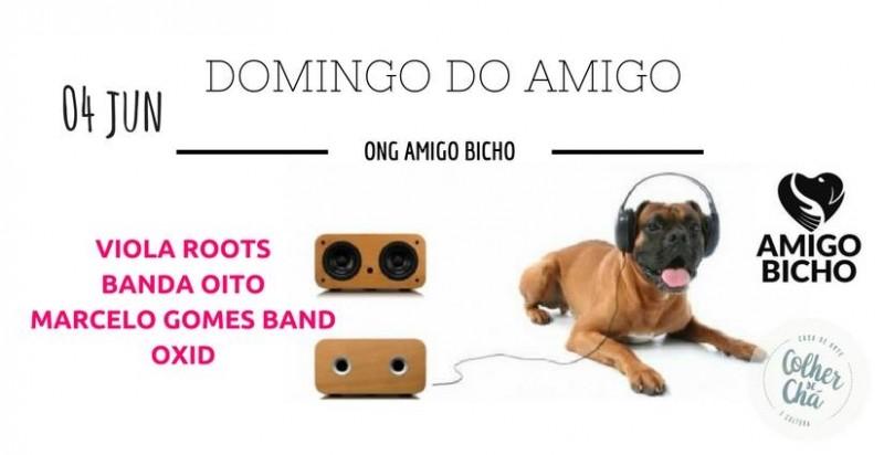 Ong Amigo Bicho promove Domingo do Amigo no Colher de Chá