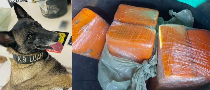 Polícia Civil prende investigado em flagrante com 3,5 quilos de droga